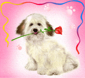 joyeux anniversaire chien